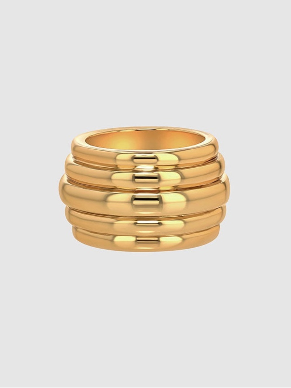 Anine Bing Chunky Ribbed 14k Ring in Gold